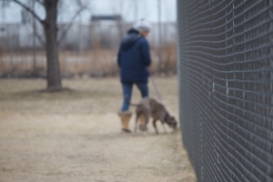 Angie Dowiarz walks a dog alongside a fence in the CACC's yard. "Honestly, any open time I have that isn't wedding planning, I go to the shelter," Dowiarz said. "They need me more than I need sleep."
